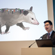 Image for article titled Experts Say Future Of Green Transportation May Be 16-Ton Possum That Passengers Cling To Like Babies